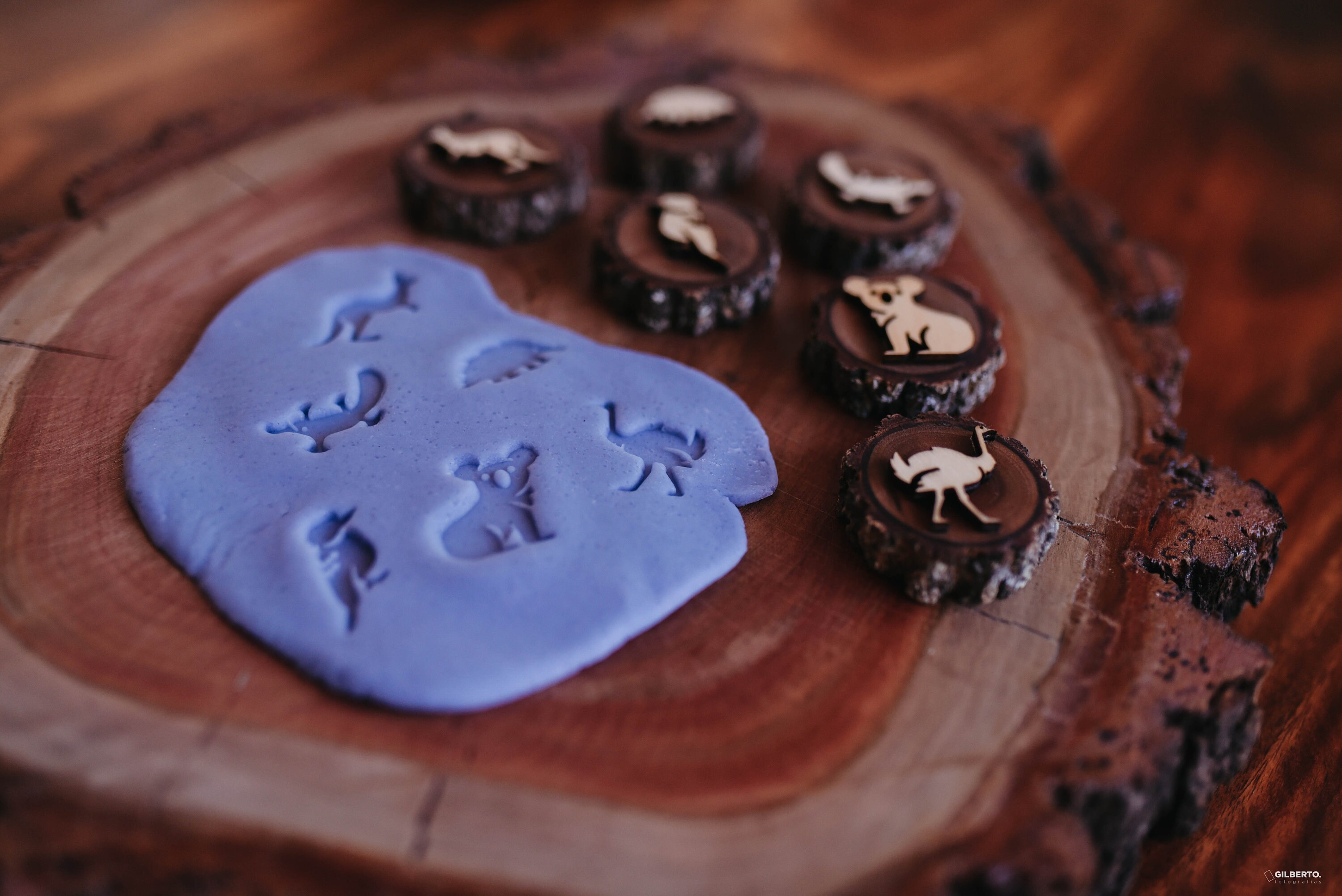 Australian Animals Play Dough Stamp Set Handcrafted Wooden Stamps for