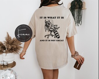May include: Beige t-shirt with a graphic of a raccoon lounging in an office chair. The text "IT IS WHAT IT IS AND IT IS NOT GREAT" is above and below the raccoon. The shirt has a relaxed fit and short sleeves.
