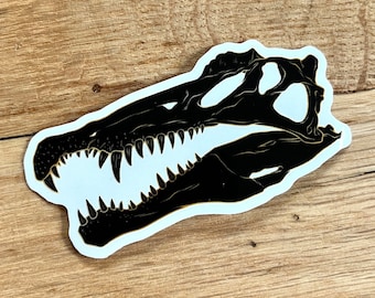 Spinosaurus Skull CLEAR Decal Sticker