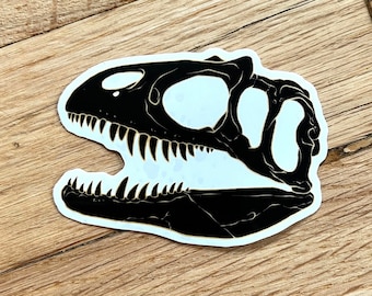 Allosaurus dinosaurio cráneo CLEAR calcomanía pegatina