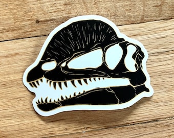 Dilophosaurus Dinosaur Skull CLEAR Decal Sticker