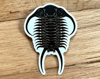 Trilobite Fossil CLEAR Decal Sticker