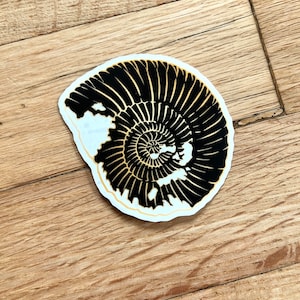 Ammonite Fossil CLEAR Decal Sticker