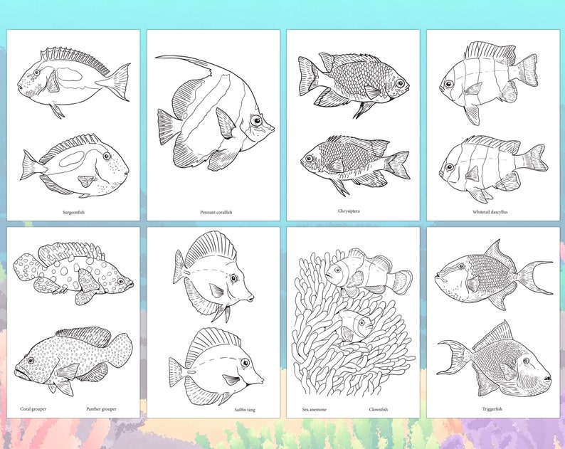 Sea Fish for Kids and Adults. 17 Coloring Pages With Saltwater Fish and ...
