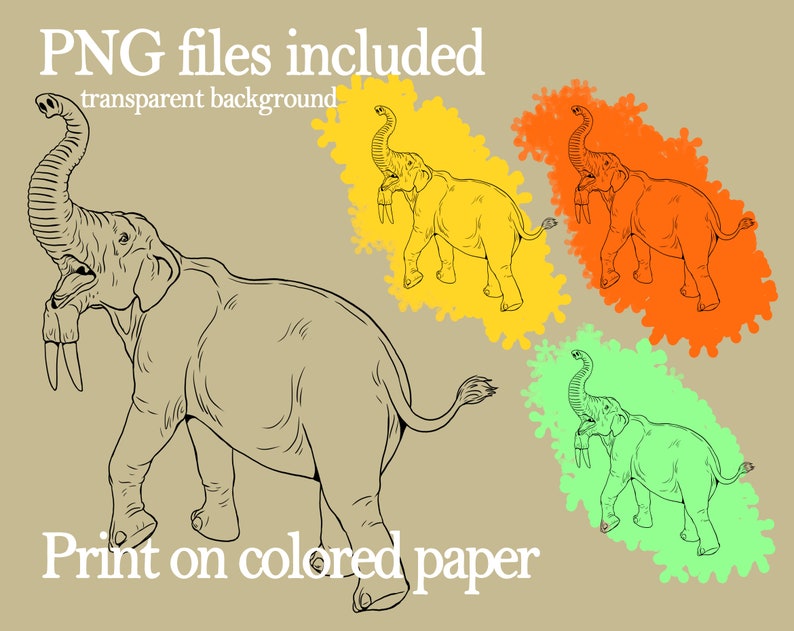 Prehistoric Animals for Kids and Adults. 40 Coloring Pages With Animals ...