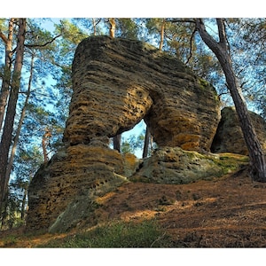 May include: A scenic landscape photograph featuring a large, naturally formed sandstone arch in a forest setting. The arch is a light brown color, with a hole in the center. The forest is filled with tall trees and a layer of brown pine needles.