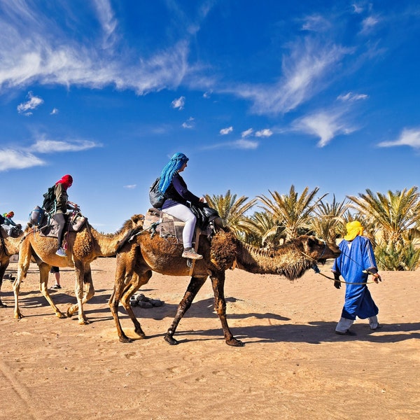 Camels in the Sahara Desert, Tour into Sand Dunes, Landscape Panorama, Morocco, Africa, Metal, Acrylic, Canvas Frame, Wall Art, Wall Decor