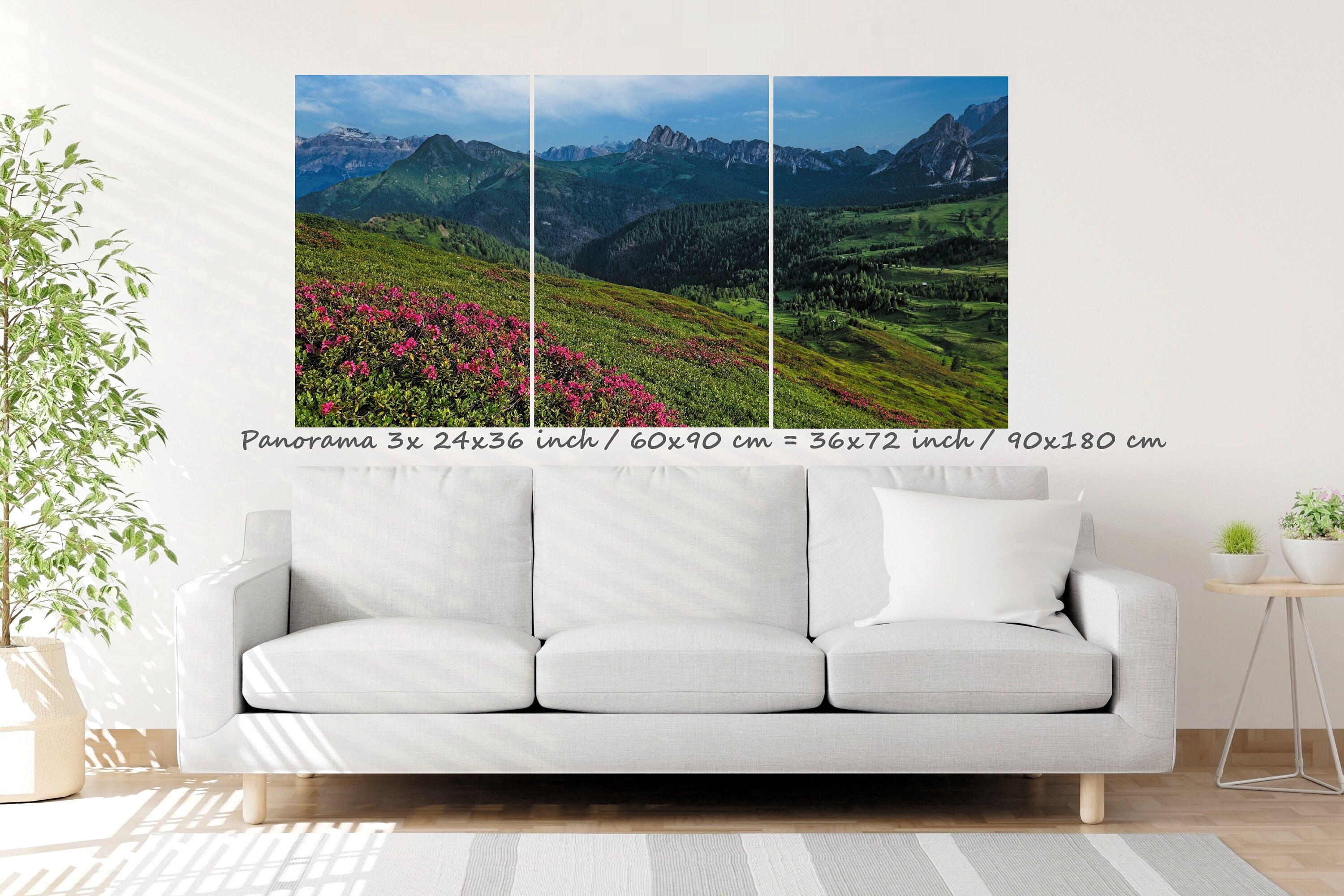 Rhododendron, Red Alpine Rose, Dolomites, Alps Mountain Panorama, Green ...