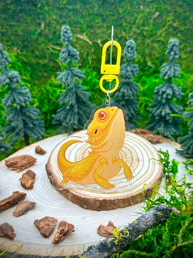 May include: A yellow bearded dragon keychain with a yellow plastic clasp. The keychain is made of clear acrylic and features a cartoon-style illustration of a bearded dragon.