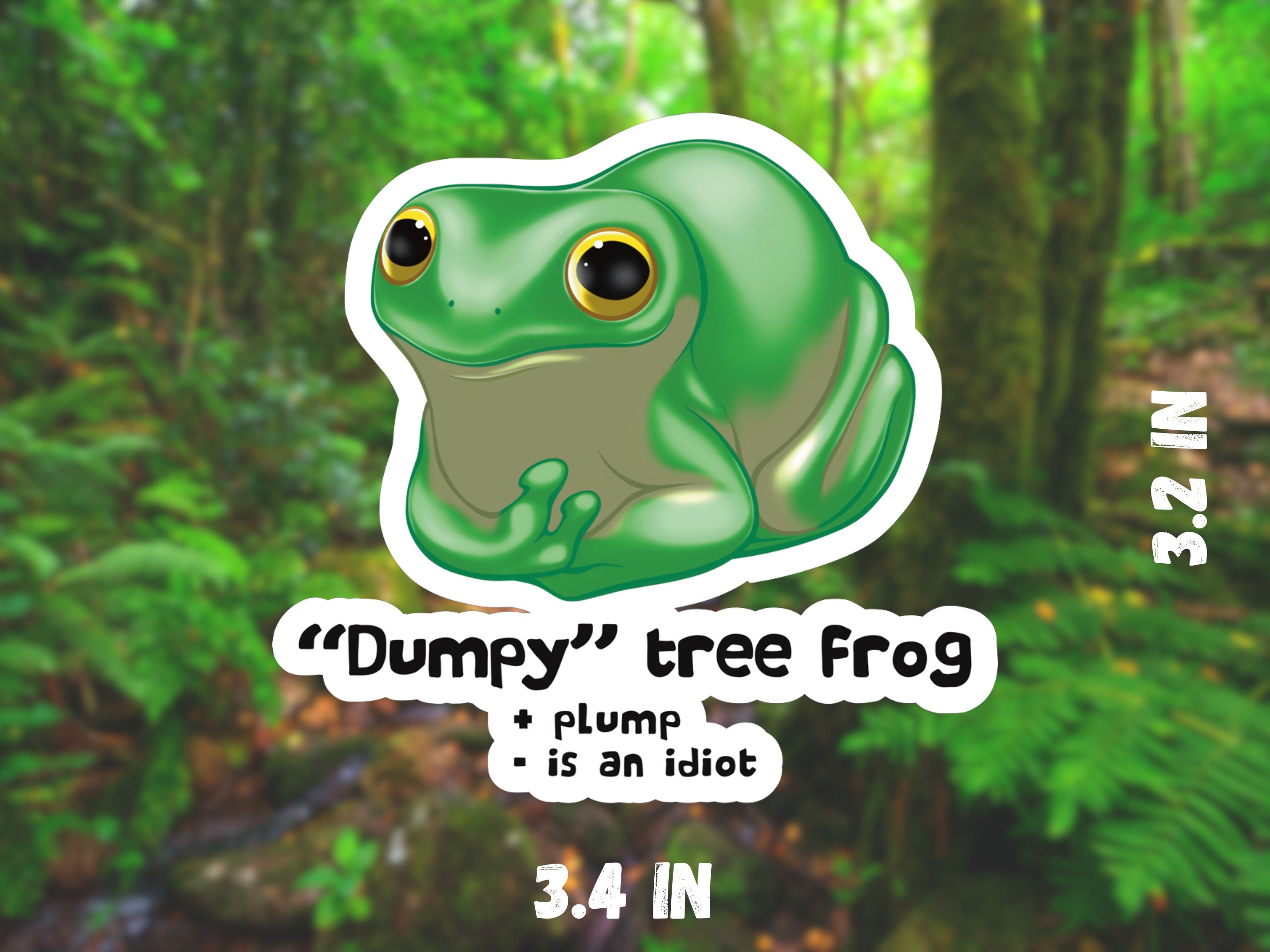1 Pc Vinyl Frog Sticker Sheet, Tree Frog Stickers, Pacman Frog Sticker, Red  Eyed Tree Frog, Pacman Frog, Dumpy Tree Frog, Nature 