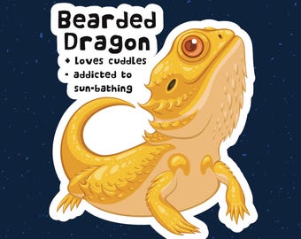 Puede incluir: Una ilustración de dibujos animados de un lagarto dragón barbudo con un cuerpo amarillo y ojos naranjas. El texto "Bearded Dragon" está por encima del lagarto, y el texto "loves cuddles - addicted to sun-bathing" está por debajo del lagarto.