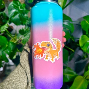 Peut inclure: Une bouteille d'eau en acier inoxydable avec un design d&eacute;grad&eacute; dans les tons de bleu, rose et violet. Un autocollant repr&eacute;sentant un gecko de dessin anim&eacute; crachant du feu est sur la bouteille.