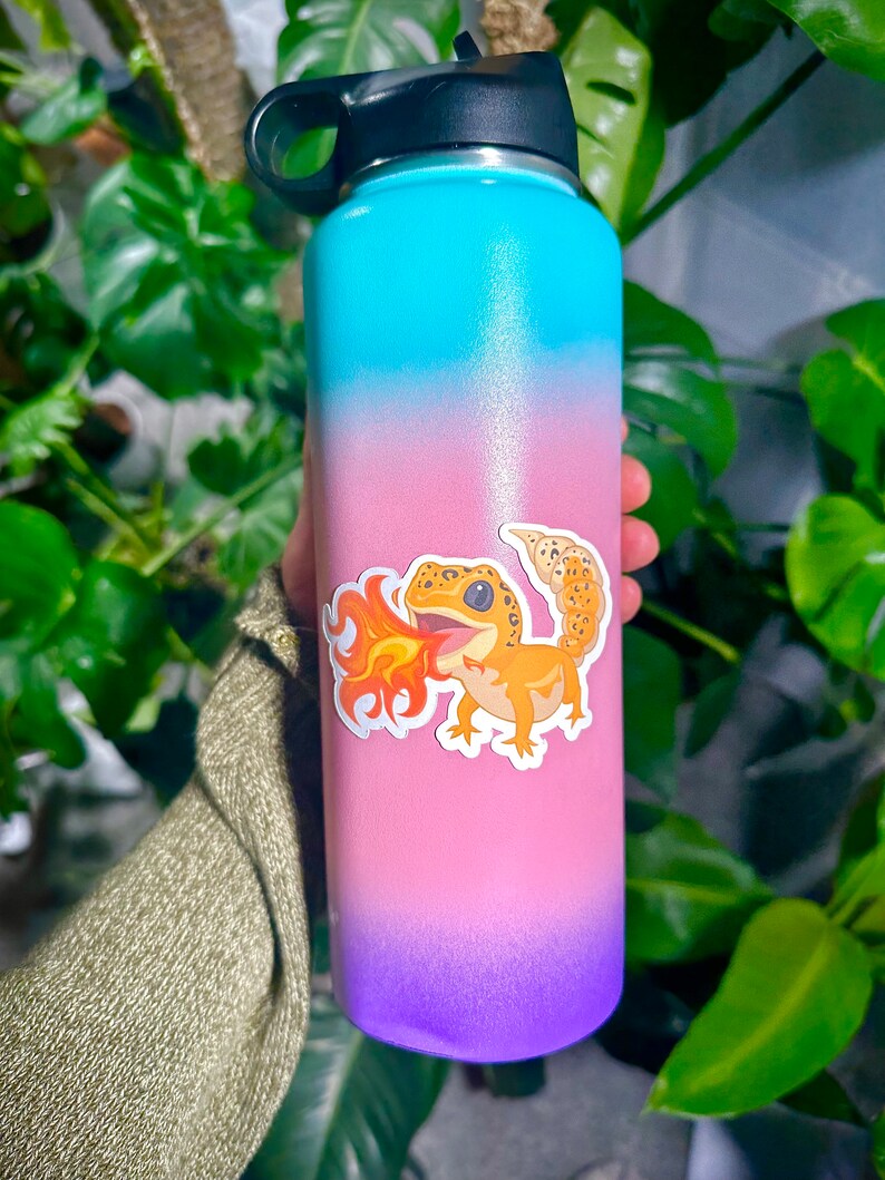 Peut inclure: Une bouteille d'eau en acier inoxydable avec un design d&eacute;grad&eacute; dans les tons de bleu, rose et violet. Un autocollant repr&eacute;sentant un gecko de dessin anim&eacute; crachant du feu est sur la bouteille.