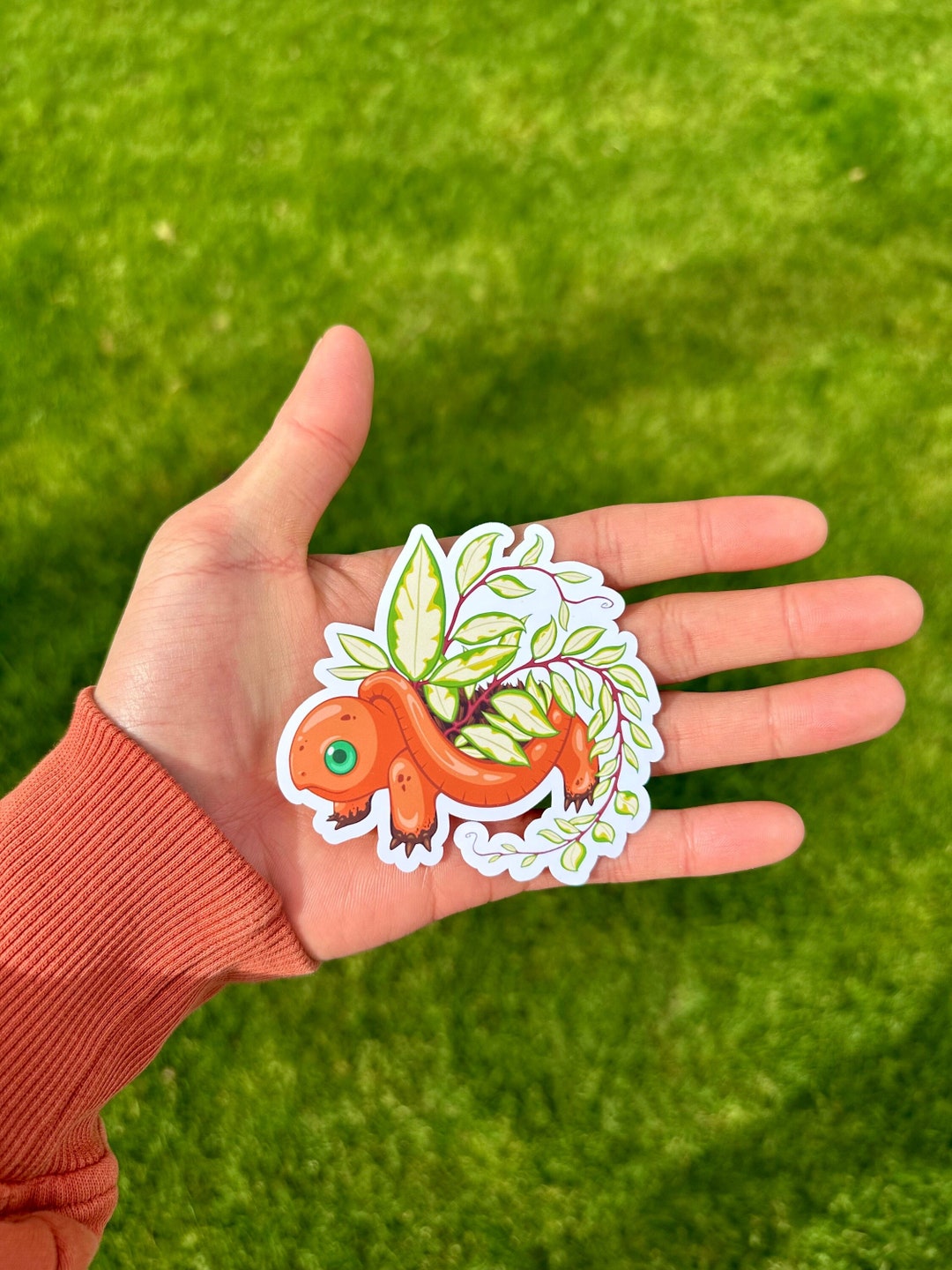 Plant Turtle Hoya Plant Tortoise Sticker Vinyl Decal, Turtle Lover ...