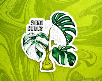 Monstera Deliciosa Albo Variegated, Send Nodes, Funny Houseplant Sticker, Plant Lover Gift, Exotic Houseplant Vinyl Decal, Cute Plant Gift