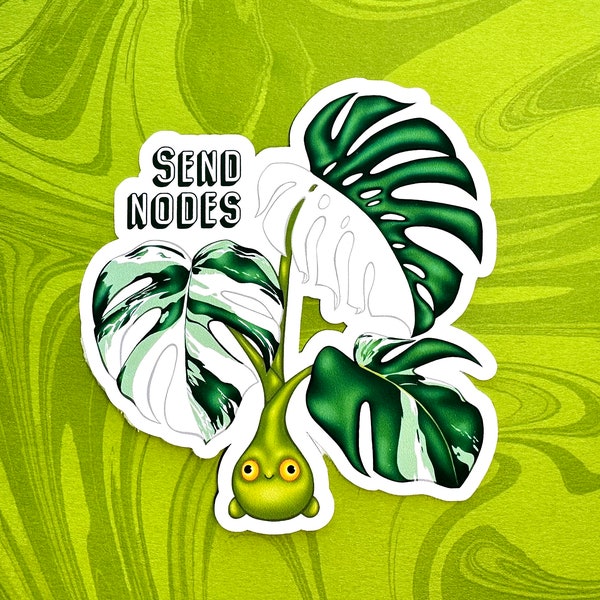 Monstera Deliciosa Albo Variegated, Send Nodes, Funny Houseplant Sticker, Plant Lover Gift, Exotic Houseplant Vinyl Decal, Cute Plant Gift