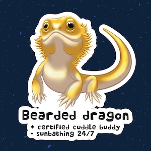 May include: A cartoon illustration of a yellow bearded dragon with a white outline. The text below the image reads "Bearded dragon + certified cuddle buddy - sunbathing 24/7".