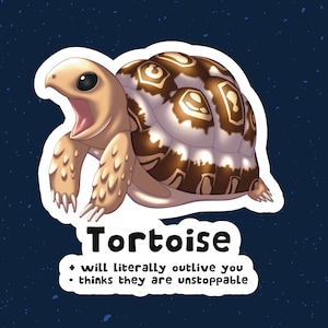 May include: A cartoon illustration of a tortoise with a brown and white shell. The tortoise is open-mouthed and has a surprised expression. The text below the tortoise reads "Tortoise + will literally outlive you - thinks they are unstoppable".