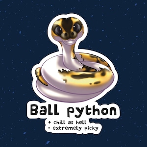 May include: A cartoon illustration of a ball python snake with yellow, black, and white markings. The snake is curled up in a ball shape with its head sticking out. The text "Ball python" is written below the snake, and the text "chill as hell - extremely picky" is written below that.