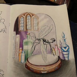 May include: A black insect with translucent wings is displayed under a glass dome on a wooden base. The insect is surrounded by various bottles and a blue and white vase. The scene is set against a backdrop of a window with arched panes.