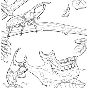May include: A black and white line drawing of a beetle with large horns, perched on a branch. The beetle is facing the left side of the image. Below the branch, a jawbone with teeth is lying on the ground. There are leaves scattered around the beetle and jawbone.