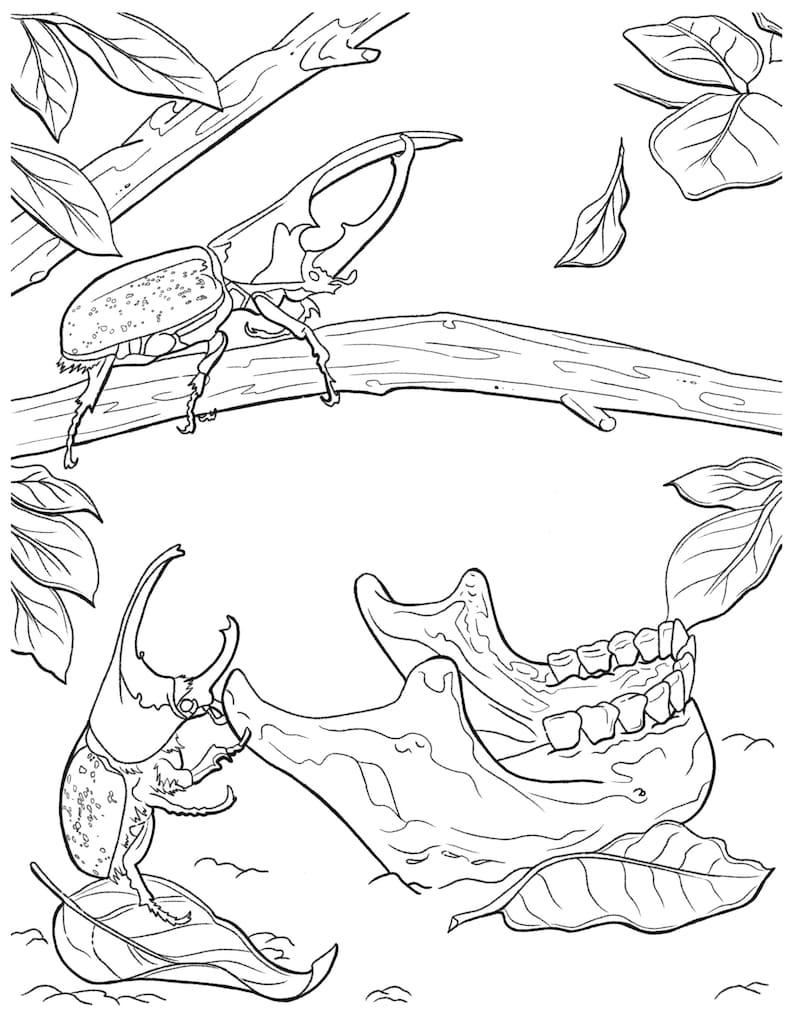 May include: A black and white line drawing of a beetle with large horns, perched on a branch. The beetle is facing the left side of the image. Below the branch, a jawbone with teeth is lying on the ground. There are leaves scattered around the beetle and jawbone.