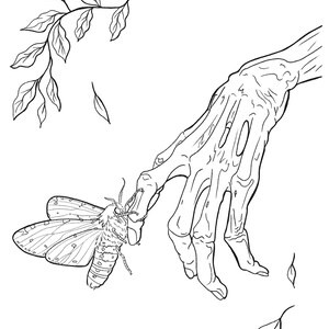 May include: A black and white line drawing of a skeletal hand reaching out to a moth with intricate wings.
