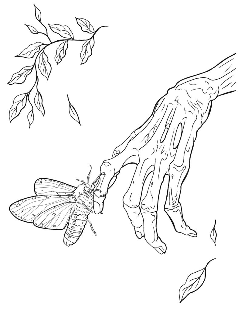 May include: A black and white line drawing of a skeletal hand reaching out to a moth with intricate wings.