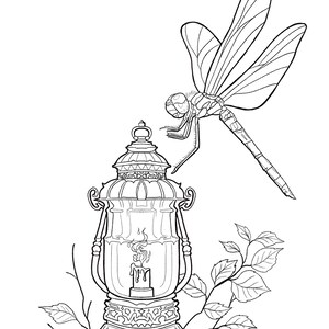 May include: A black and white line drawing of a dragonfly perched on a decorative lantern with a candle inside. The lantern has intricate details and is surrounded by leaves.