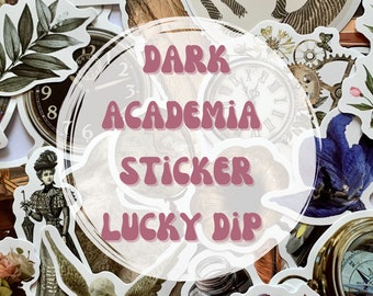 Dark academia reading sticker mystery pack lucky dip