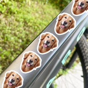 5 pegatinas impermeables personalizadas para caras de mascotas para esposo, novio, ciclista, papá, bicicleta de carretera, niños, niños, bicicleta plegable, bicicleta,