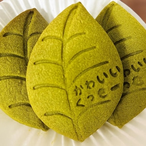 Delicious Natural Matcha Cookies | 12 Gourmet Cookies + 2 Free Samples | No Artificial Colors | Lightly Sweet | Reusable Magnetic Gift Box