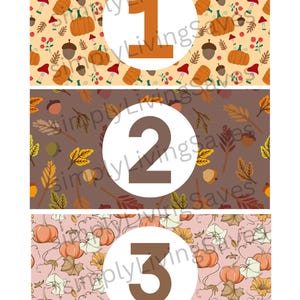May include: Three rectangular designs with autumn patterns. Each design has a large number in a white circle: 1 in orange, 2 in brown, and 3 in dark brown. The patterns include pumpkins, acorns, leaves, and mushrooms.