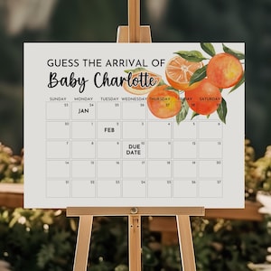 Orange Little Cutie Fälligkeitsdatumskalender, bearbeitbare Citrus Baby Geburtstagsvorhersage-Plakatvorlage, errate das Ankunftszeichen, OC08