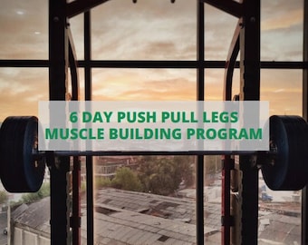 6 Day Push Pull Legs Muscle Building Workout Program (12 Weeks)
