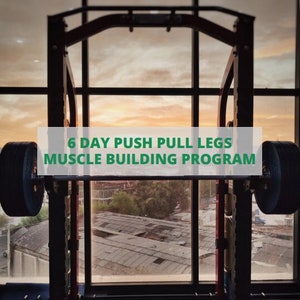 6 Day Push Pull Legs Muscle Building Workout Program (12 Weeks)