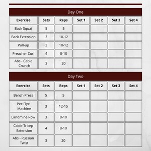 May include: A weekly workout plan with two days of exercises. Day one includes back squat, back extension, pull-up, preacher curl, abs - cable crunch. Day two includes bench press, pec flye machine, landmine row, cable tricep extension, abs - russian twist.