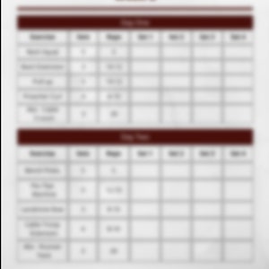 May include: A weekly workout schedule with a table listing exercises, sets, and reps for each day. The table is divided into two sections: Day One and Day Two.
