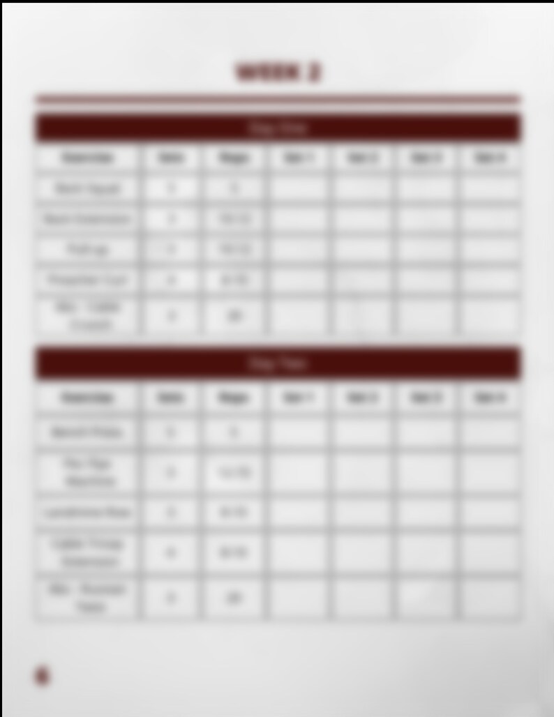 May include: A weekly workout schedule with a table listing exercises, sets, and reps for each day. The table is divided into two sections: Day One and Day Two.