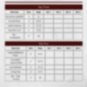 May include: A weekly workout schedule with a table listing exercises, sets, reps, and rest times. The table is divided into two sections: Day One and Day Two.