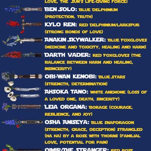 May include: A graphic illustration of Star Wars characters with their corresponding flowers and meanings. Rey is represented by an African Daisy, Ben Solo by a Blue Delphinium, Kylo Ren by a Red Delphinium/ Larkspur, Anakin Skywalker by Blue Foxgloves, Darth Vader by Red Foxgloves, Obi-Wan Kenobi by Blue Stars, Ahsoka Tano by a White Anemone, Leia Organa by Borage,  Osha Aniseya by a Blue Snapdragon, and Qimir/The Stranger by a Red Rose.