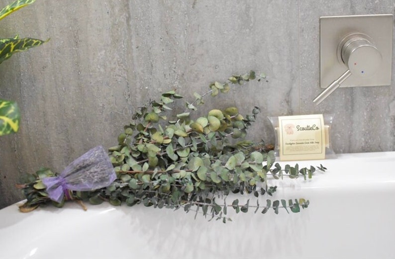 Eucalyptus Lavender Shower Bundle With Free Soap Self Care Set Gifts