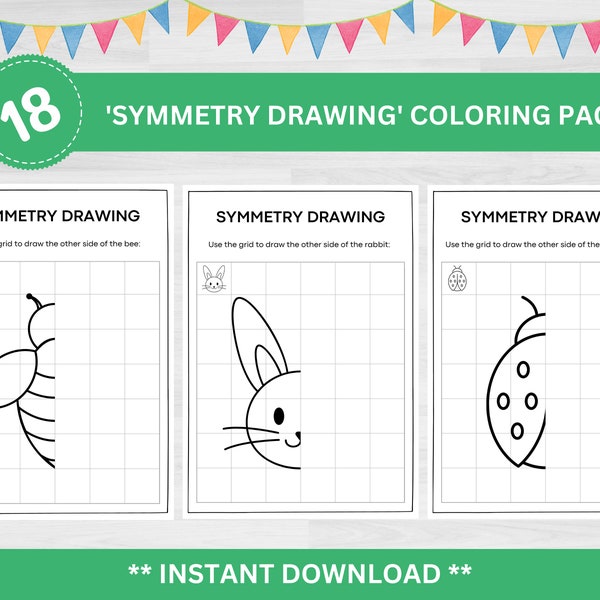 Symmetry Drawing | Lines of Symmetry Activities | Symmetry Drawing Coloring | Symmetry Drawing Printables | Road Trip Games | Color Draw