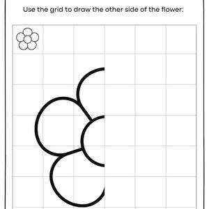 Symmetry Drawing | Lines of Symmetry Activities | Symmetry Drawing ...