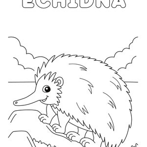 May include: A black and white line drawing of an echidna, a spiny anteater, standing on a rock with grass. The word "ECHIDNA" is written in large, bold letters at the top of the image.