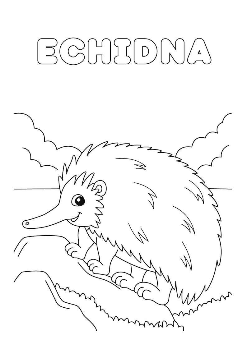 May include: A black and white line drawing of an echidna, a spiny anteater, standing on a rock with grass. The word "ECHIDNA" is written in large, bold letters at the top of the image.
