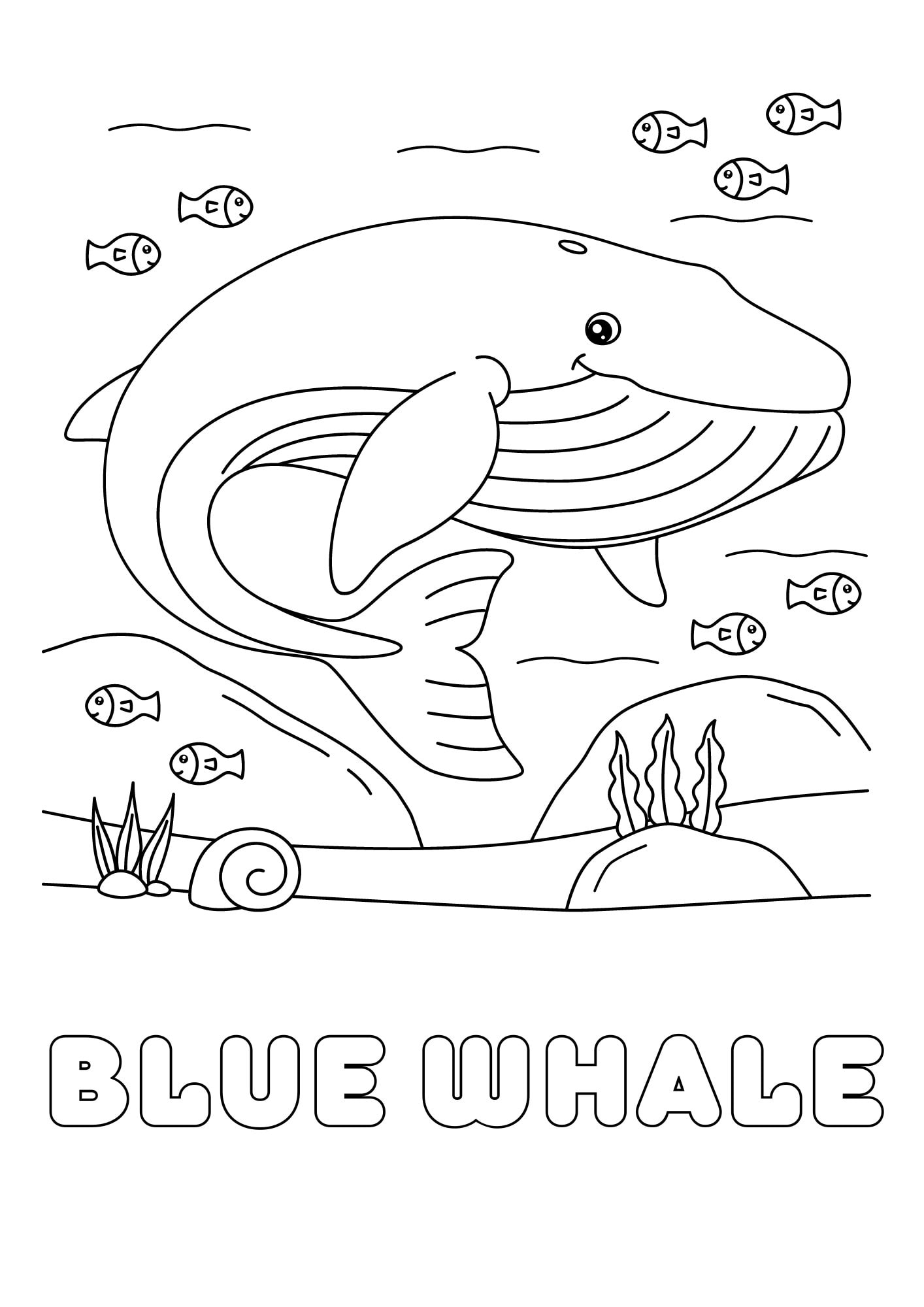Under the Sea Coloring Pages Ocean Animals Coloring Sea Creatures