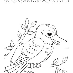 May include: A black and white line drawing of a kookaburra bird perched on a branch. The bird is facing right and has its beak open. The word "KOOKABURRA" is written in large, bold letters at the top of the image.