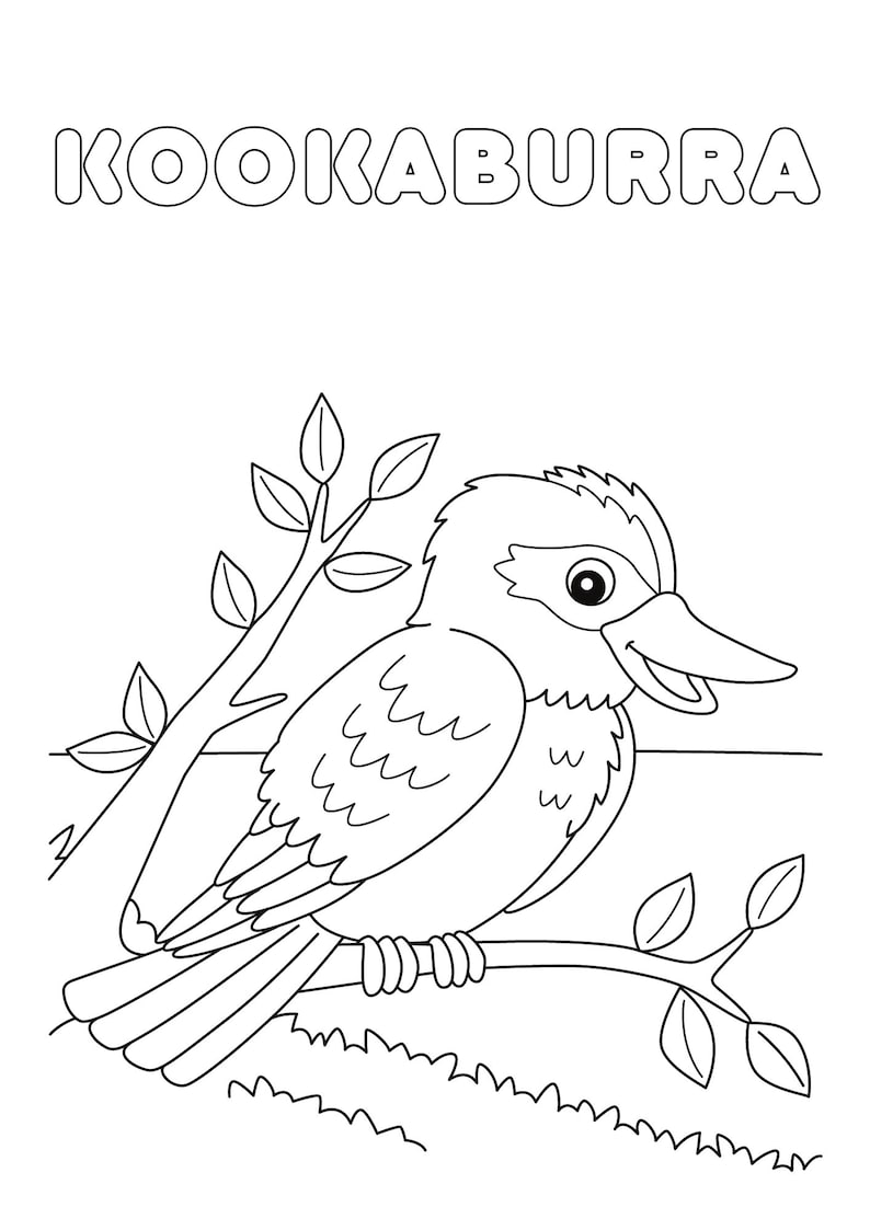 May include: A black and white line drawing of a kookaburra bird perched on a branch. The bird is facing right and has its beak open. The word "KOOKABURRA" is written in large, bold letters at the top of the image.