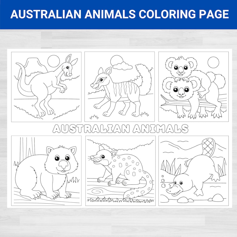Native Australian Animals Coloring Pages Australian Animals